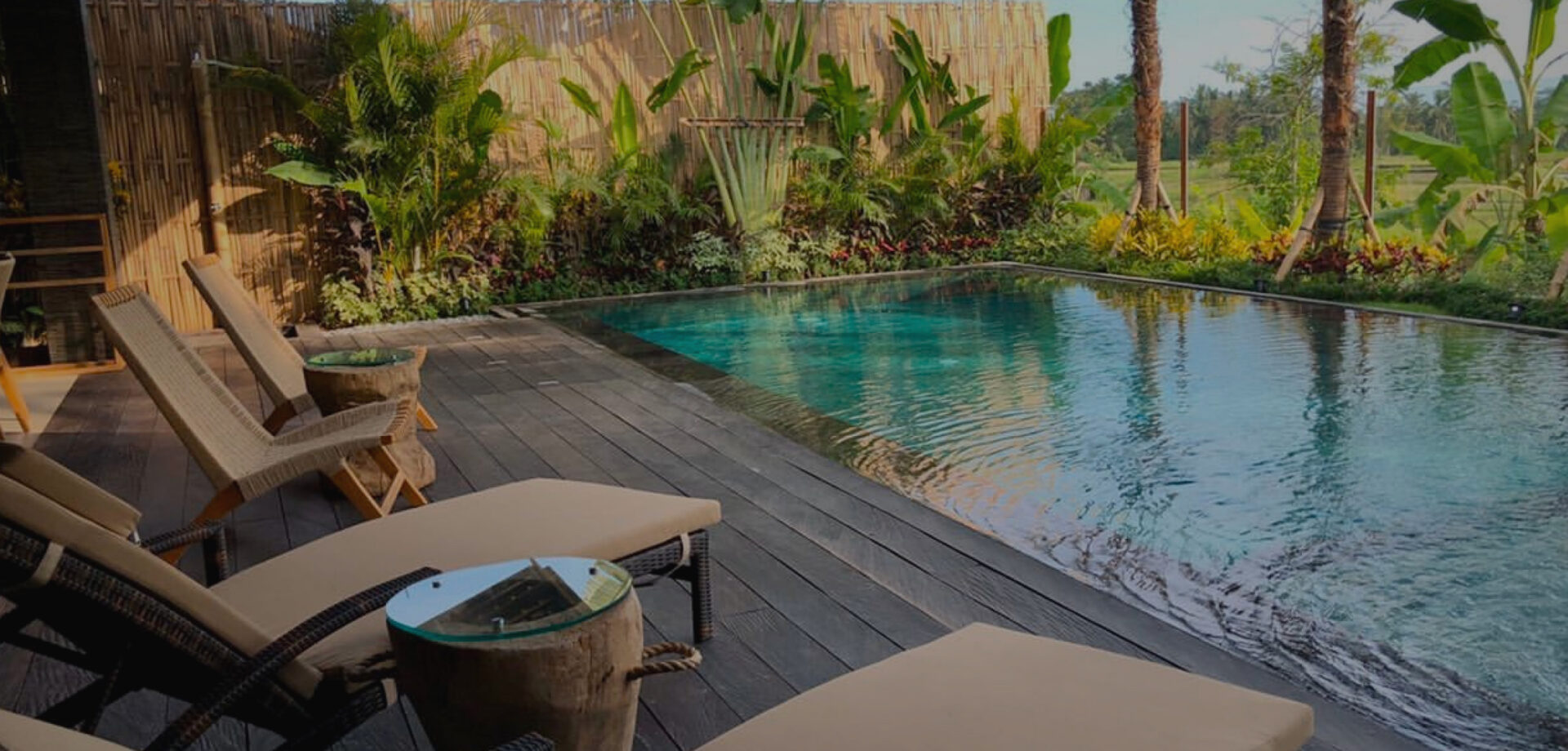 Timber deck with rattan loungers and a plunge pool framed by lush planting and rice fields